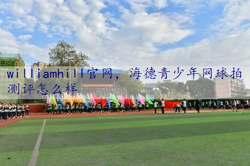 海德青少年网球拍测评怎么样