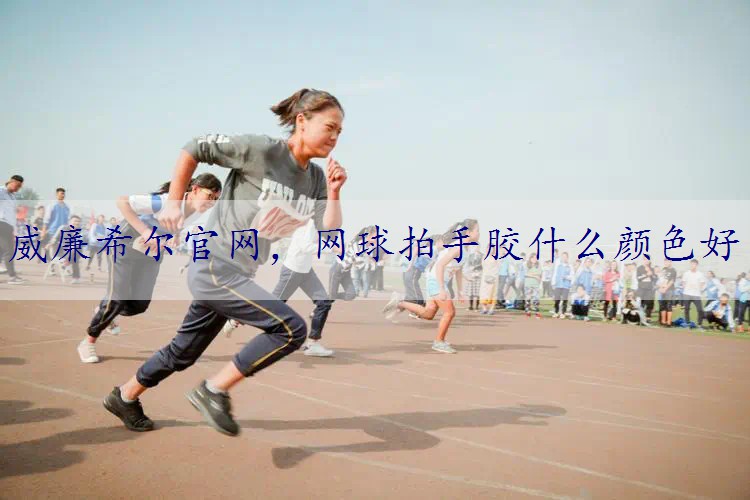 网球拍手胶什么颜色好