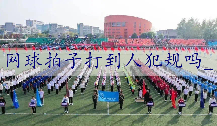 网球拍子打到人犯规吗_