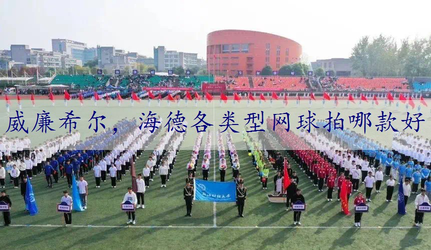 海德各类型网球拍哪款好