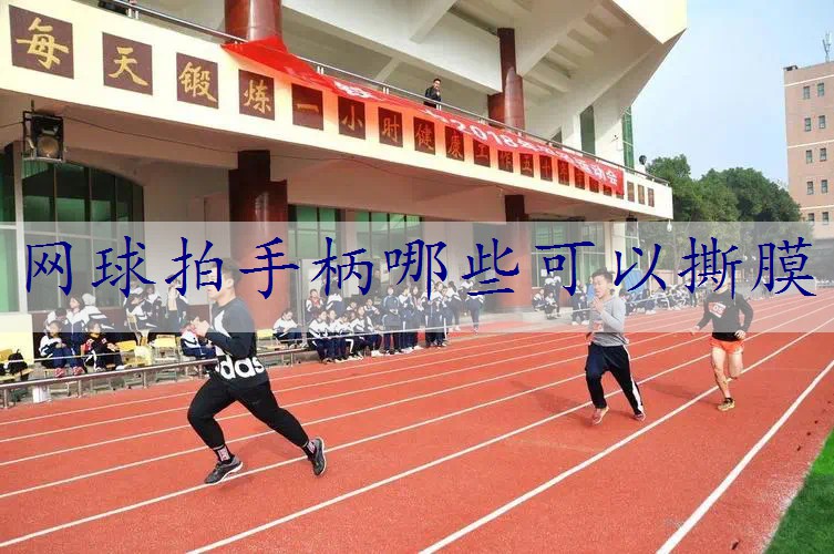 网球拍手柄哪些可以撕膜