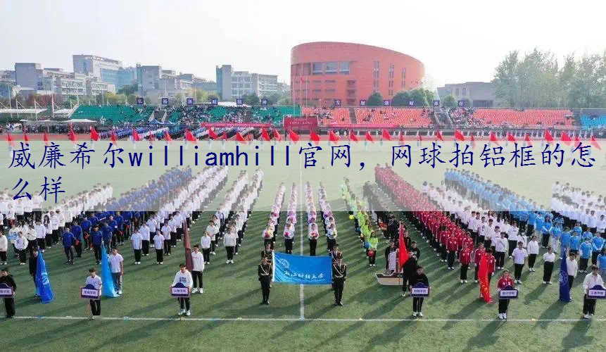 网球拍铝框的怎么样