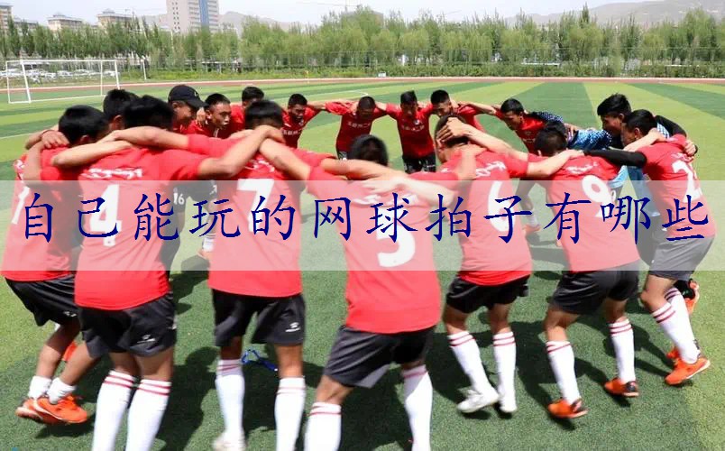 自己能玩的网球拍子有哪些