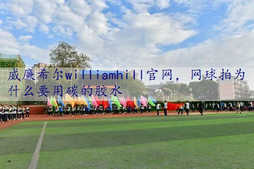 网球拍为什么要用碳的胶水