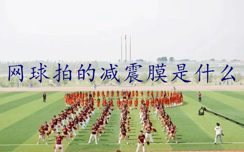 网球拍的减震膜是什么