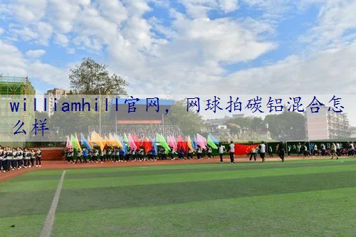 网球拍碳铝混合怎么样