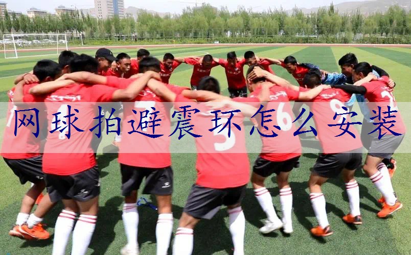 网球拍避震环怎么安装