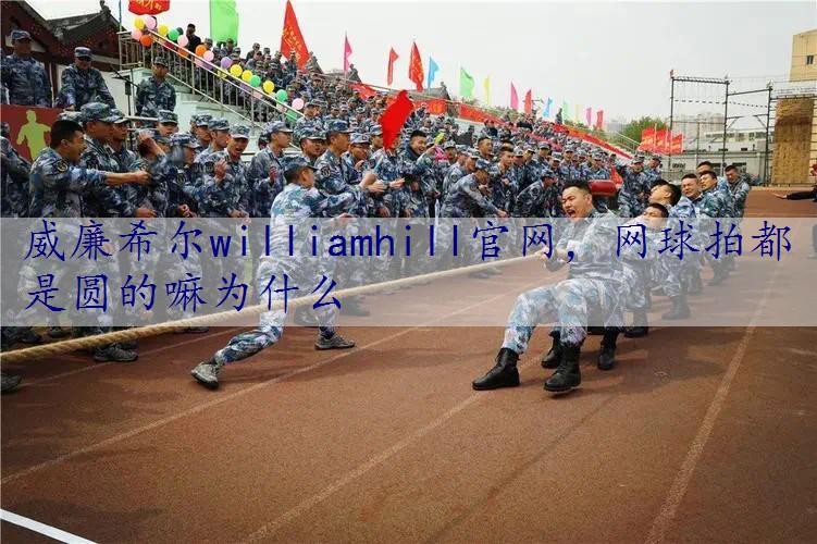网球拍都是圆的嘛为什么