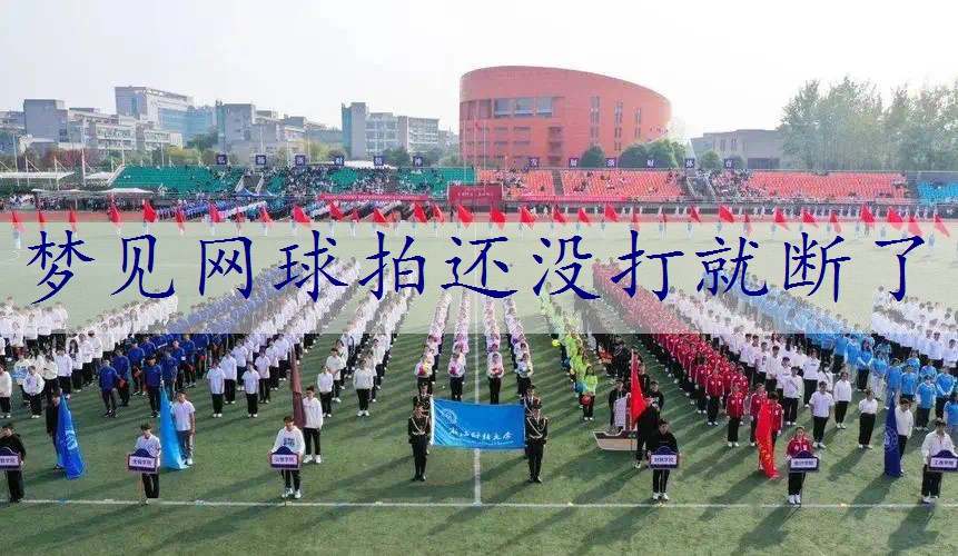 梦见网球拍还没打就断了