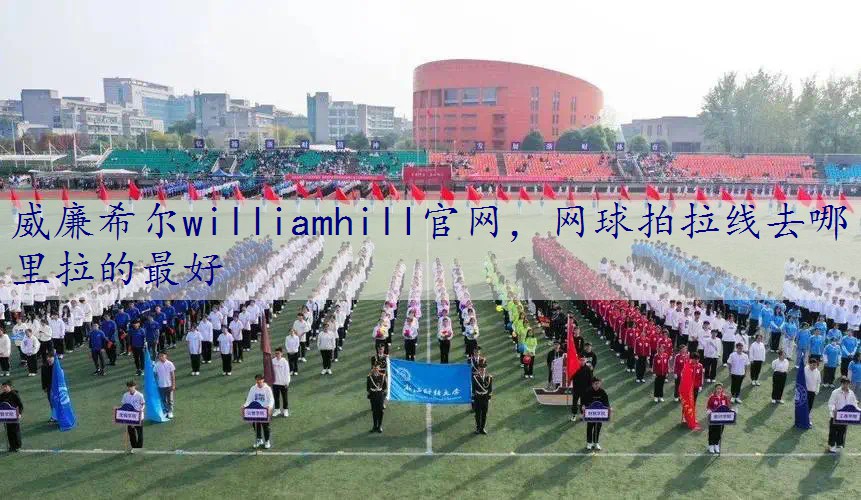 网球拍拉线去哪里拉的最好