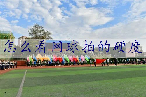 怎么看网球拍的硬度