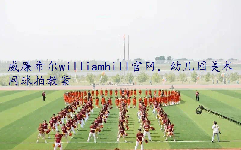 幼儿园美术网球拍教案