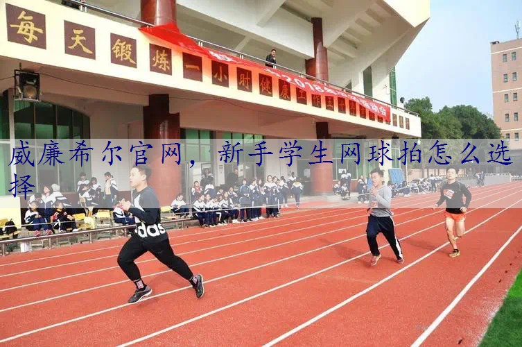 新手学生网球拍怎么选择