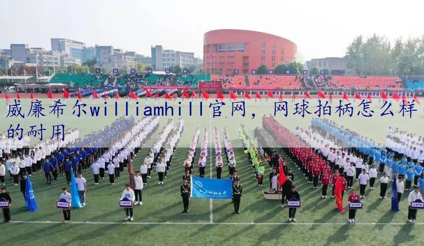 网球拍柄怎么样的耐用