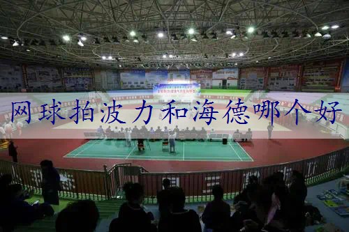 网球拍波力和海德哪个好