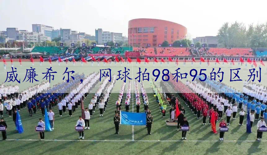 网球拍98和95的区别