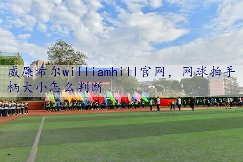 网球拍手柄大小怎么判断