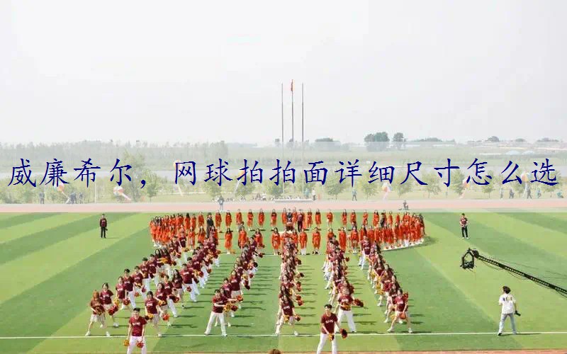 网球拍拍面详细尺寸怎么选