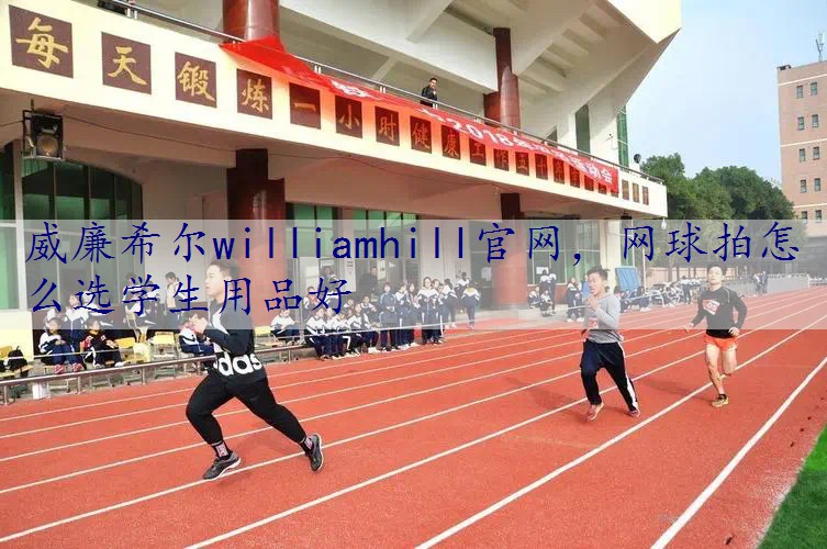 网球拍怎么选学生用品好