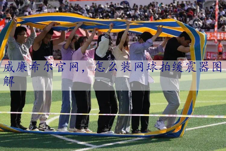 怎么装网球拍缓震器图解
