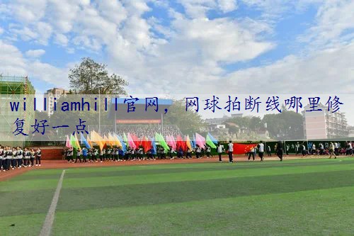 网球拍断线哪里修复好一点