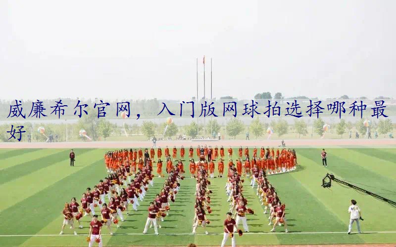 入门版网球拍选择哪种最好