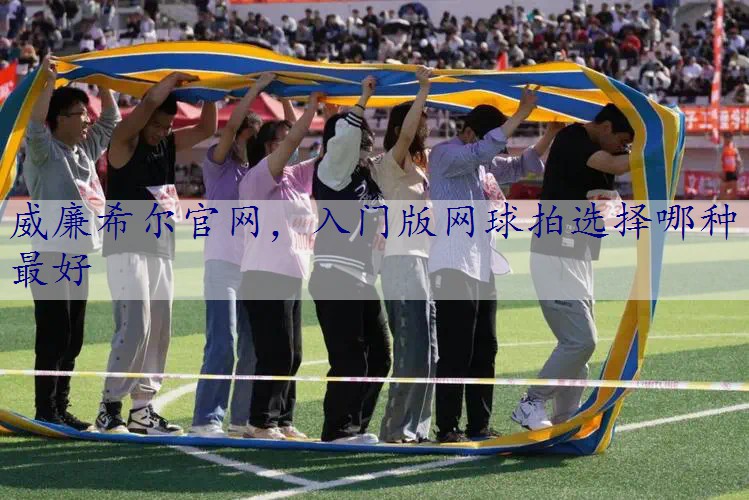 入门版网球拍选择哪种最好