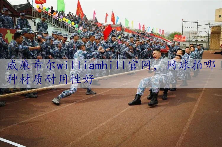 网球拍哪种材质耐用性好