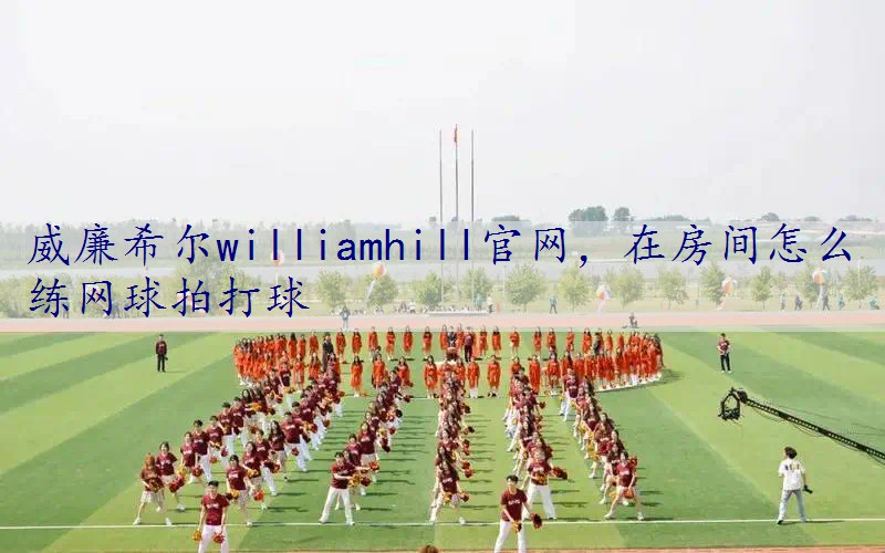 在房间怎么练网球拍打球