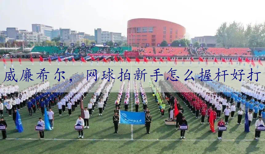 网球拍新手怎么握杆好打