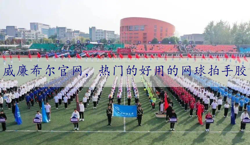 热门的好用的网球拍手胶