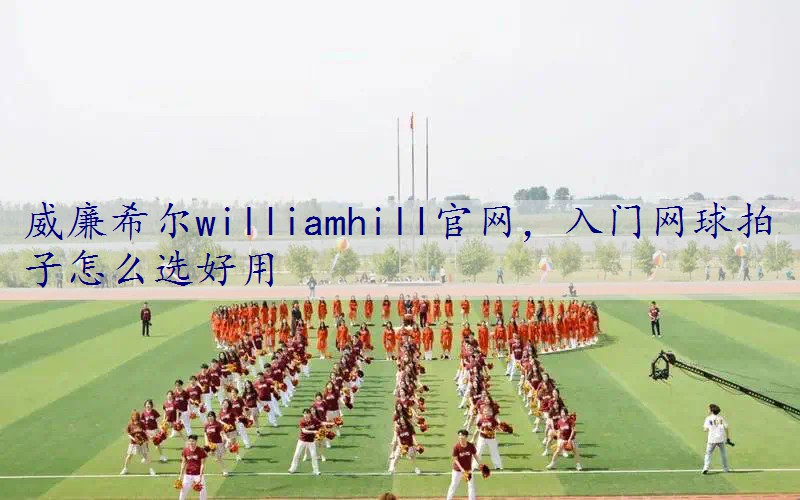 入门网球拍子怎么选好用