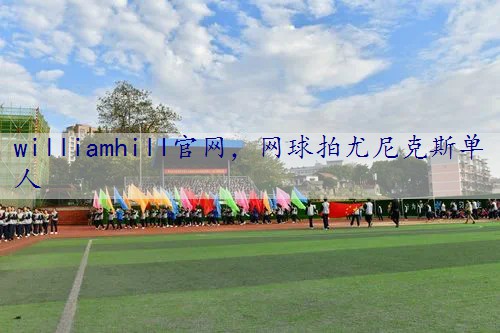 网球拍尤尼克斯单人