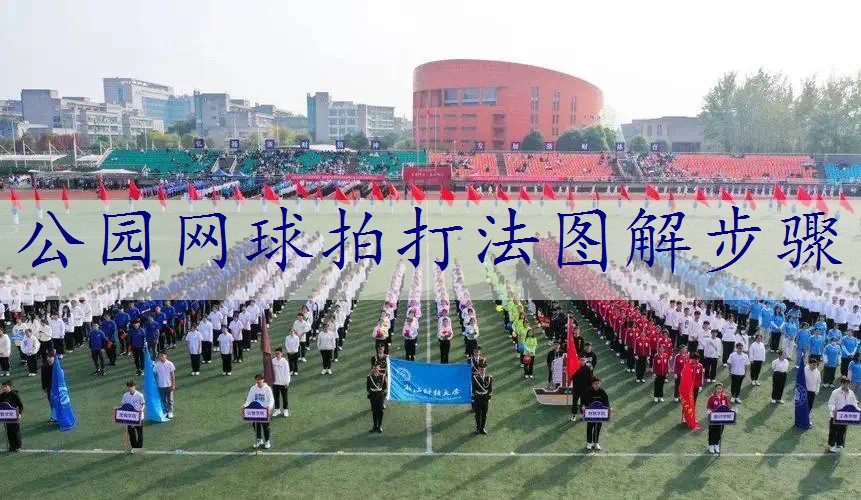 公园网球拍打法图解步骤