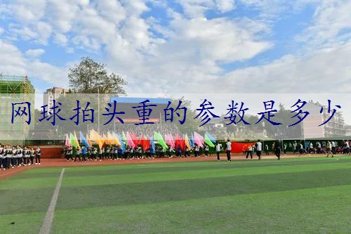 网球拍头重的参数是多少