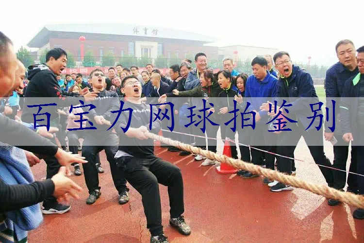 百宝力网球拍鉴别