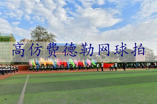 高仿费德勒网球拍