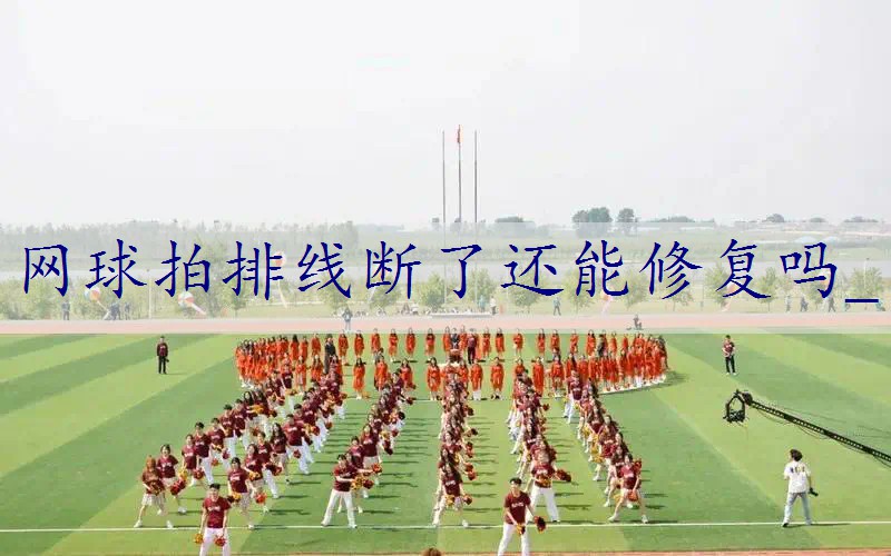 网球拍排线断了还能修复吗_