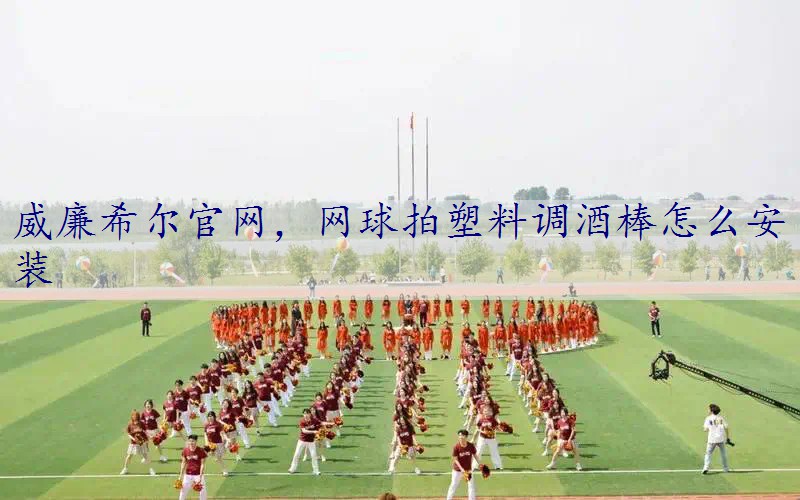 网球拍塑料调酒棒怎么安装