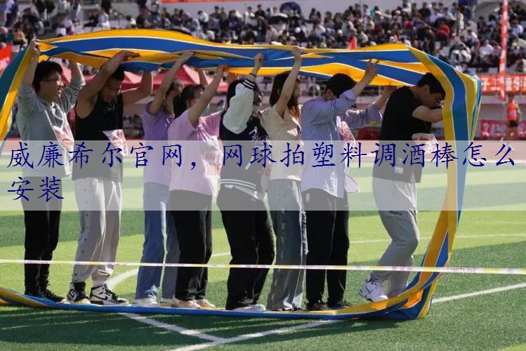 网球拍塑料调酒棒怎么安装