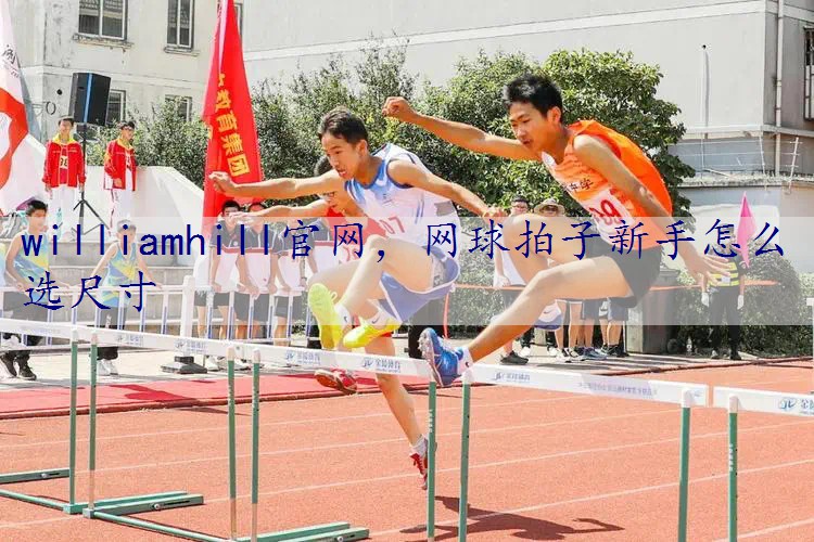 网球拍子新手怎么选尺寸