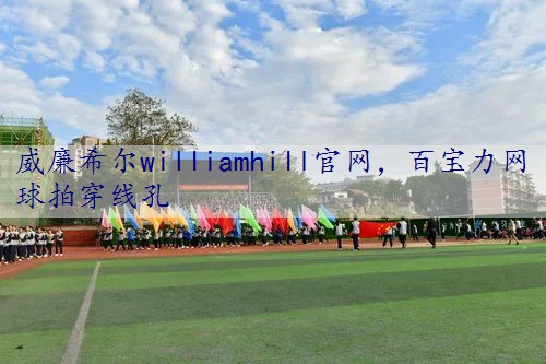 百宝力网球拍穿线孔