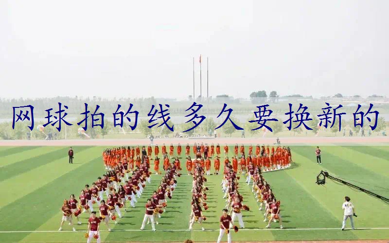 网球拍的线多久要换新的