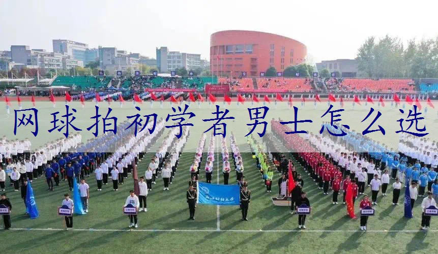 网球拍初学者男士怎么选