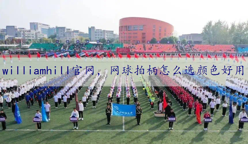 网球拍柄怎么选颜色好用