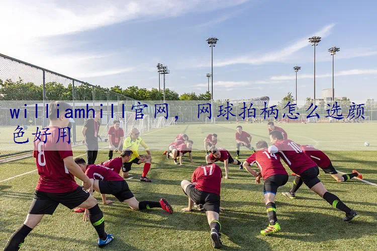 网球拍柄怎么选颜色好用