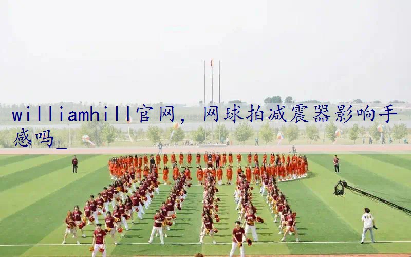 网球拍减震器影响手感吗_