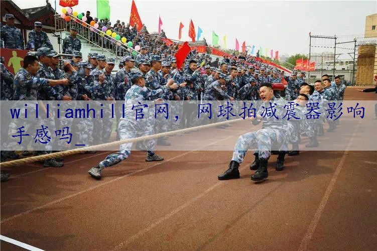 网球拍减震器影响手感吗_