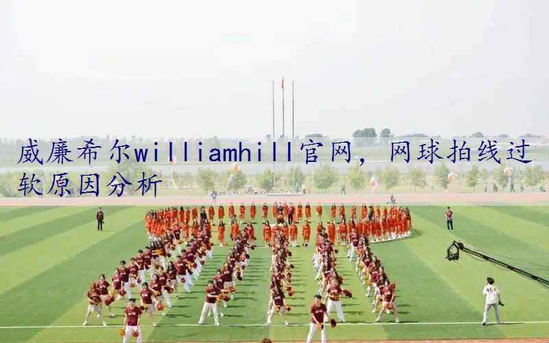 网球拍线过软原因分析