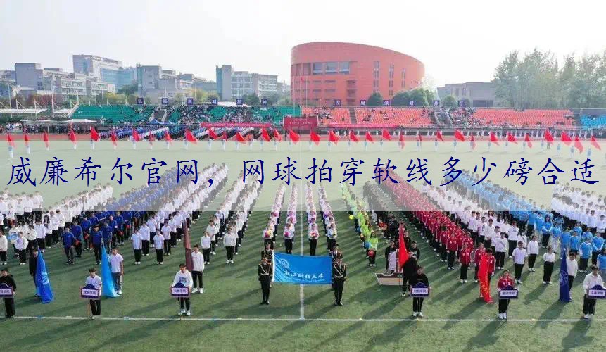 网球拍穿软线多少磅合适